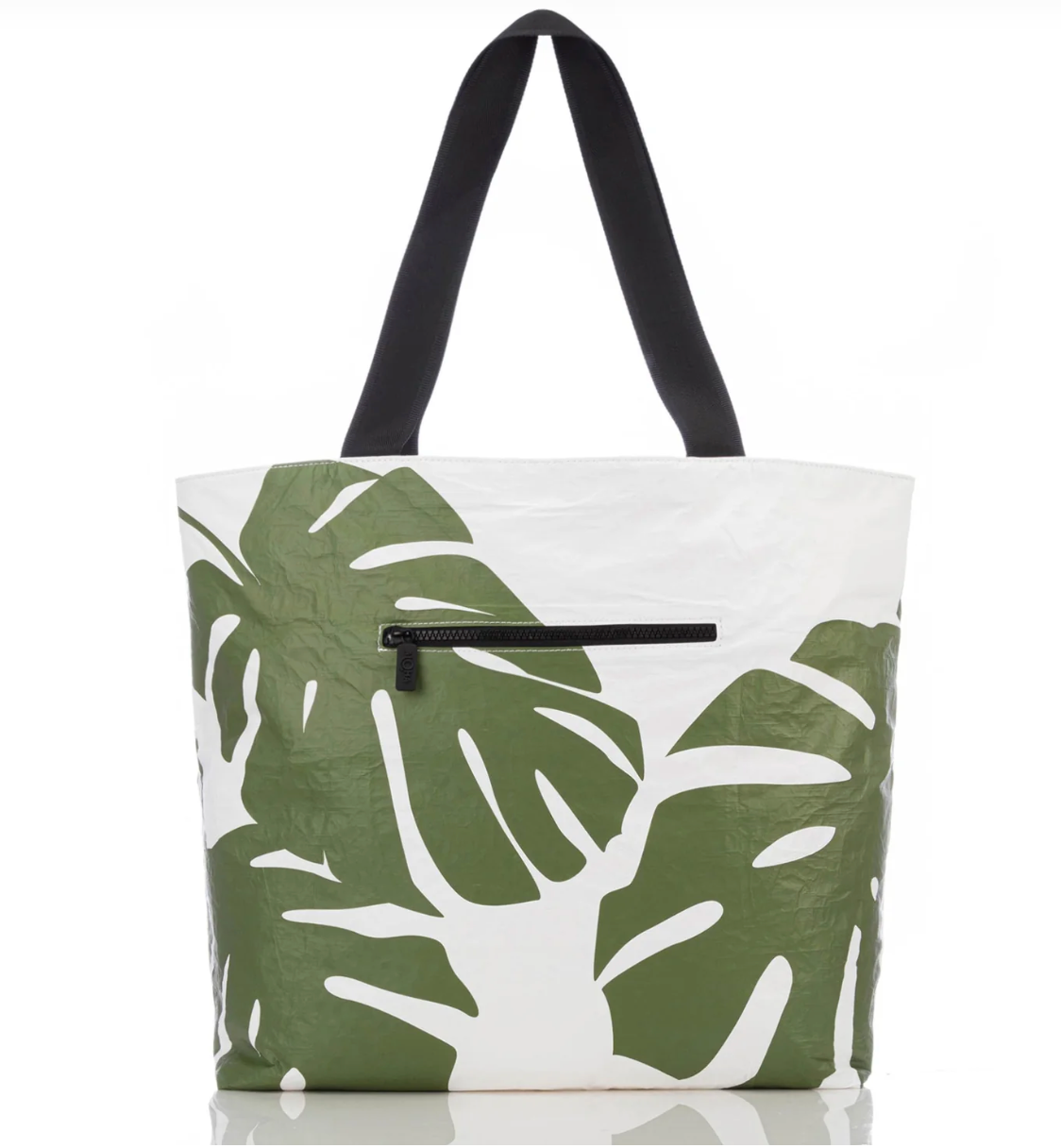 Monstera Day Tripper Seaweed