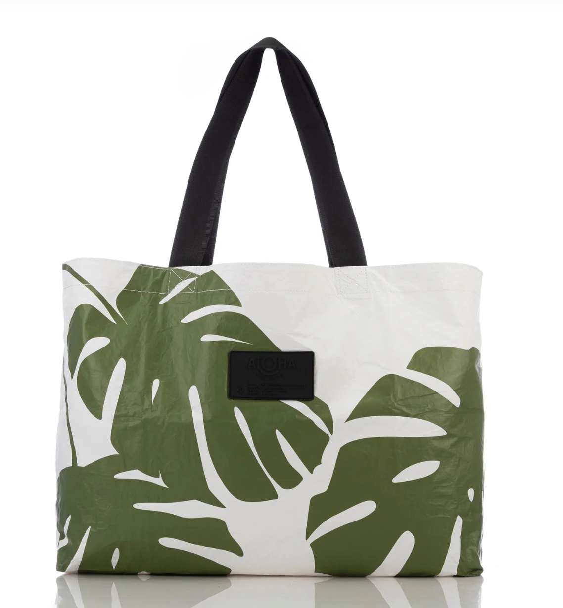 Monstera Holo Holo Seaweed