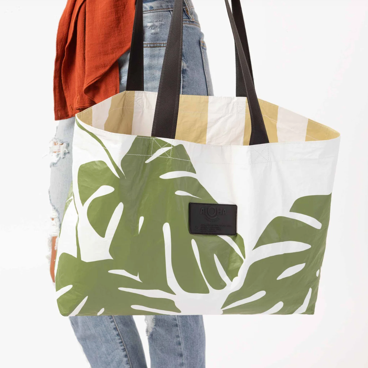 Monstera Holo Holo Seaweed